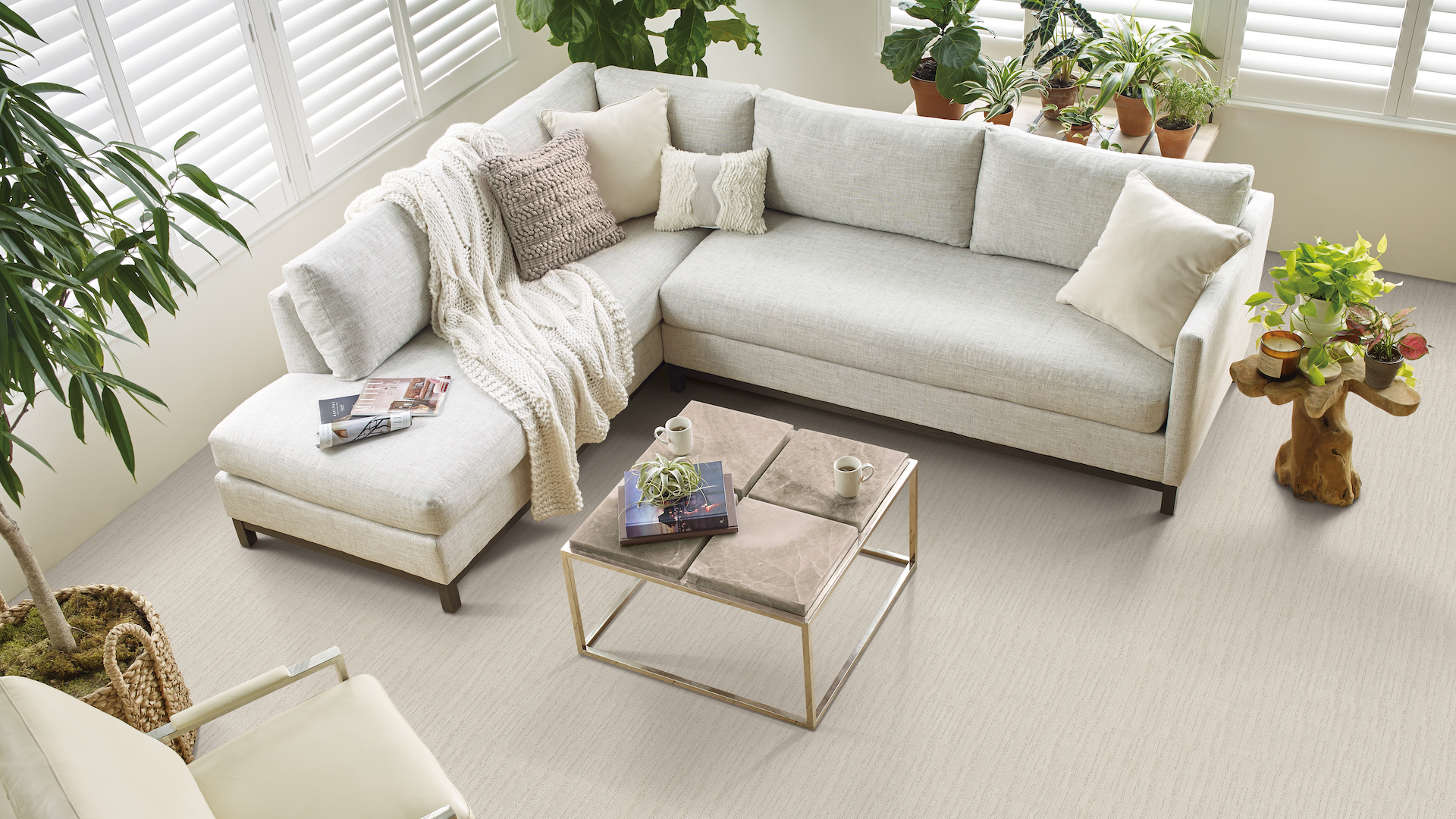 textured off white carpet in a neutral living room with plants